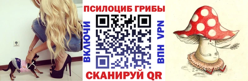 наркота  Новосокольники  Галлюциногенные грибы прущие грибы 