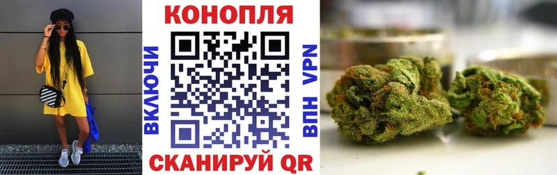 Шишки марихуана план Новосокольники